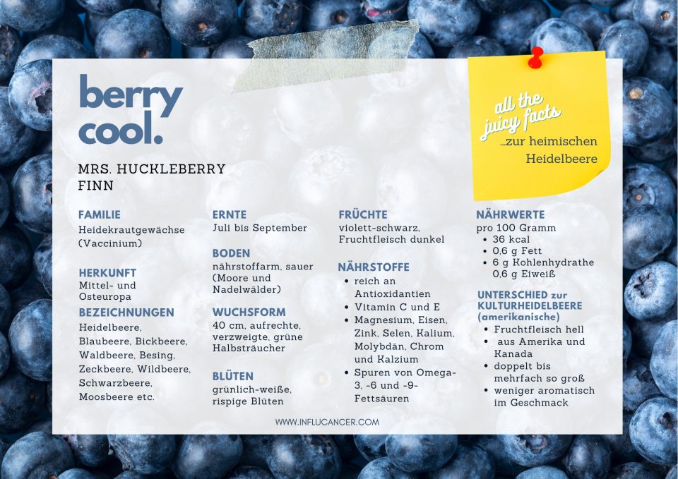 Uncategorized Berry Cool Steckbrief Heidelbeere Canva Beitrag