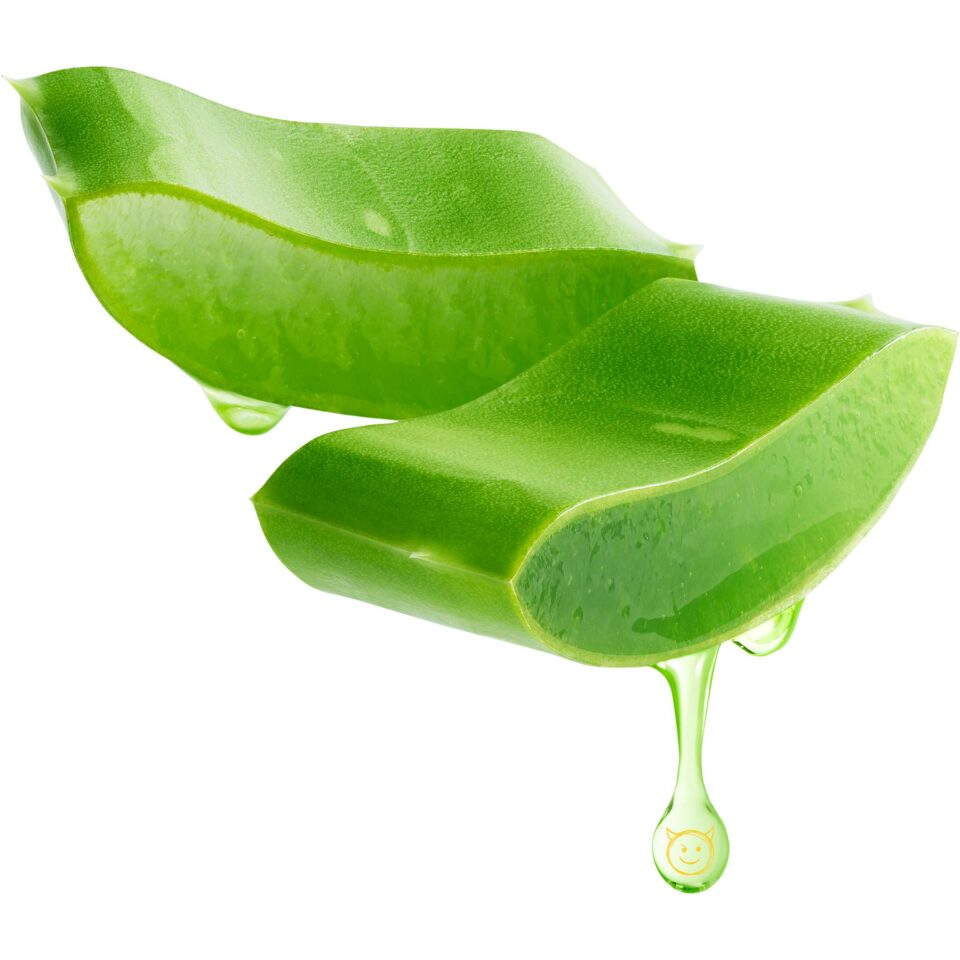 aufgeschnittene Aloe Vera, die tropft mit gelbem Teufelsemoji