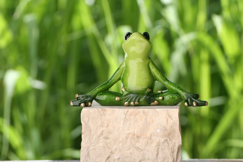 Frosch in Yogaposition