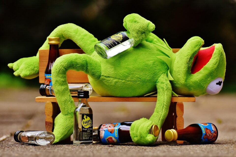 Kermit der Frosch liegt KO auf einer Bank umrundet von Alkoholflaschen.