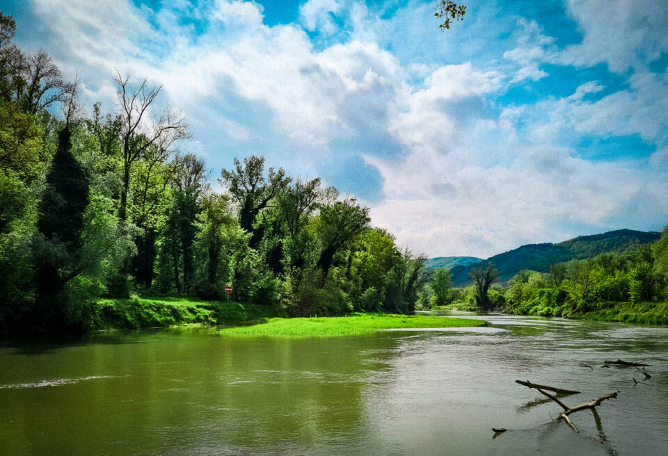 Fluss mit Wald am Ufer