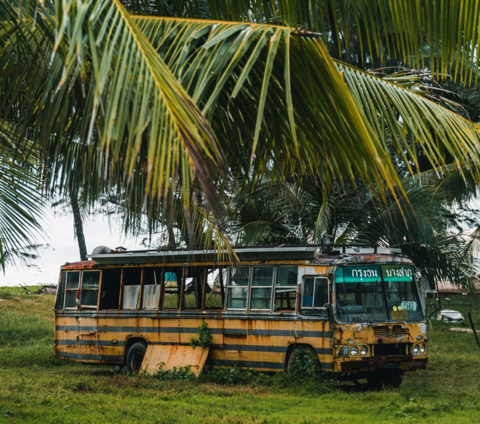 Bus alt unter Palmen